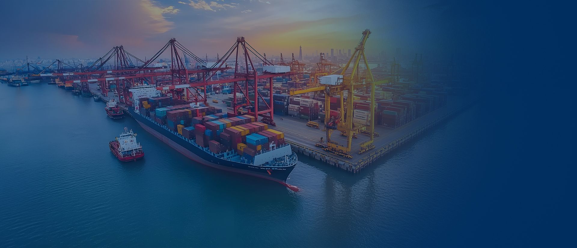 Onaylanmış Kişi Statüsüne(OKSB)ilişkin tespit işlemleri