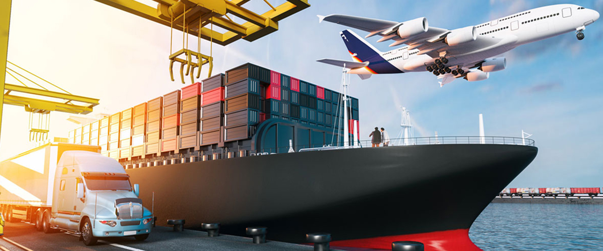 TP1 Yetkilendirilmiş Gümrük Müşaviri Raporu