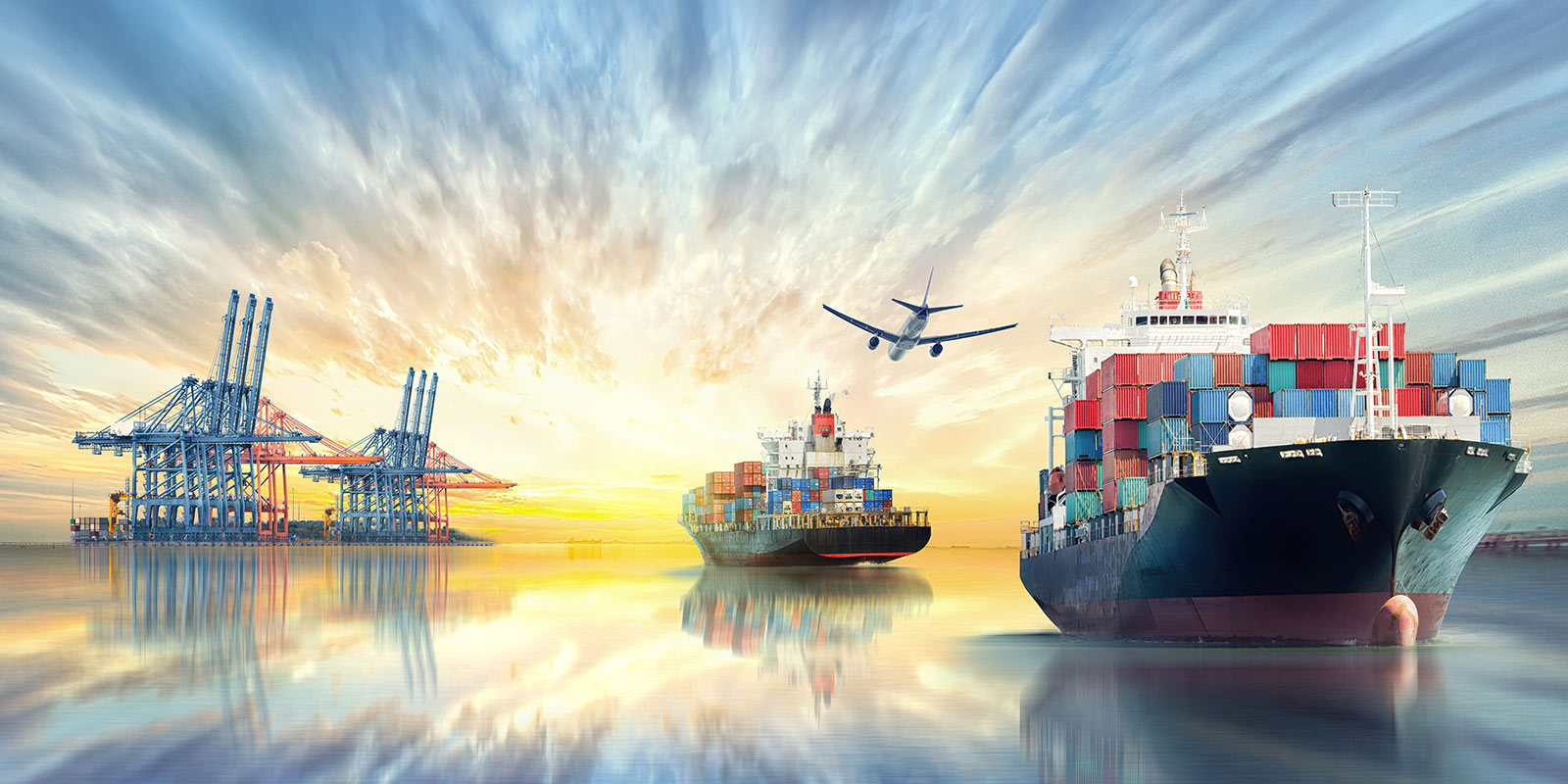 DR2 Yetkilendirilmiş Gümrük Müşaviri Raporu